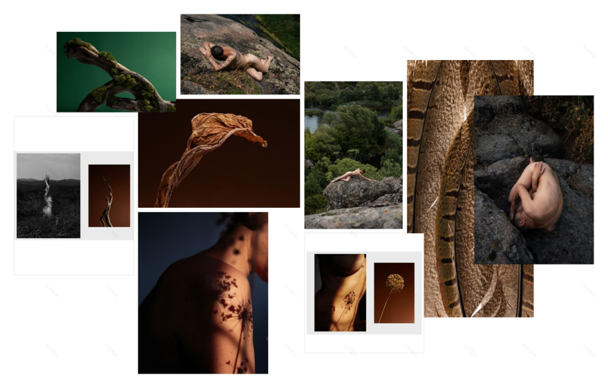 TorriPhoto摄影创作项目-40