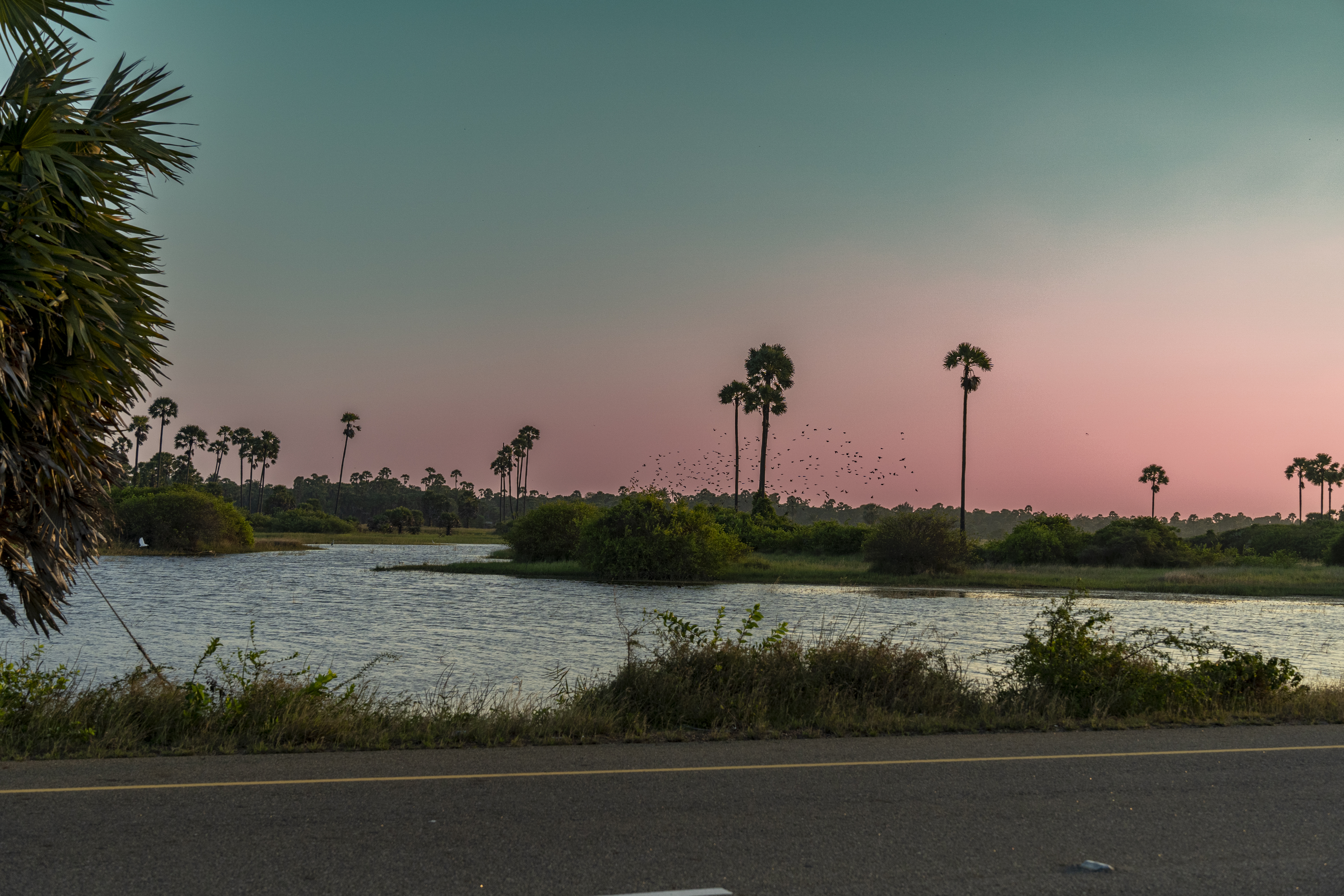 Jaffna Srilanka-1