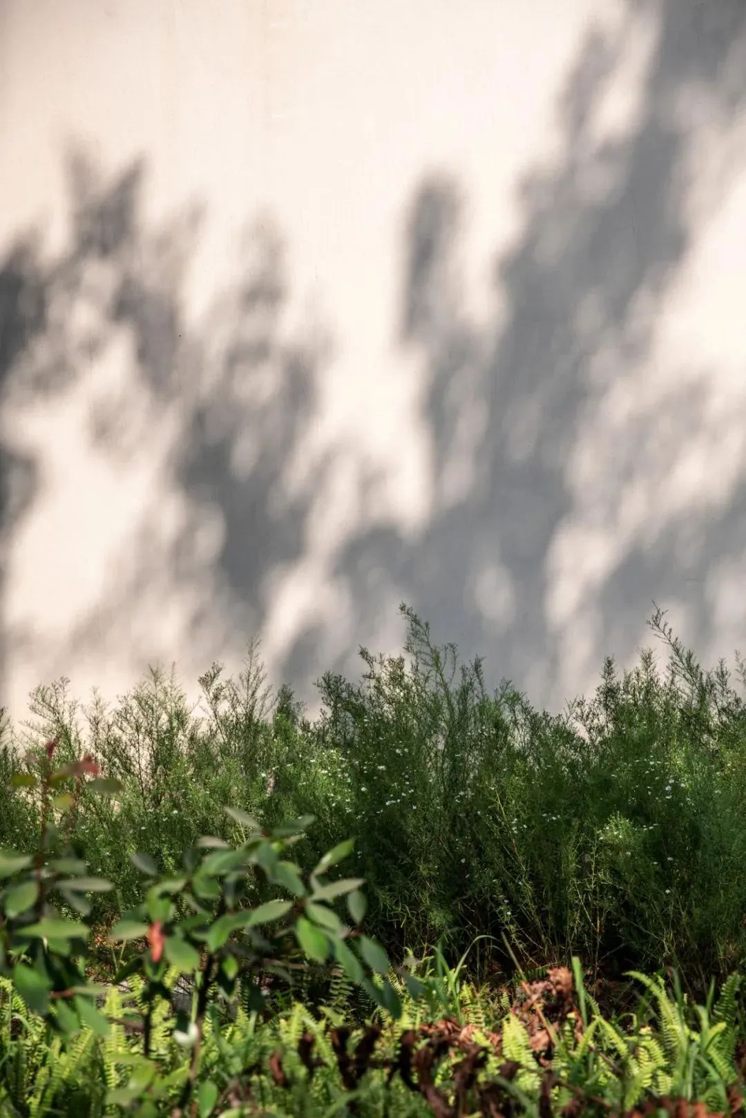 重庆·椒园丨中国重庆丨重庆尚壹扬装饰设计,重庆悦集建筑事务所-43