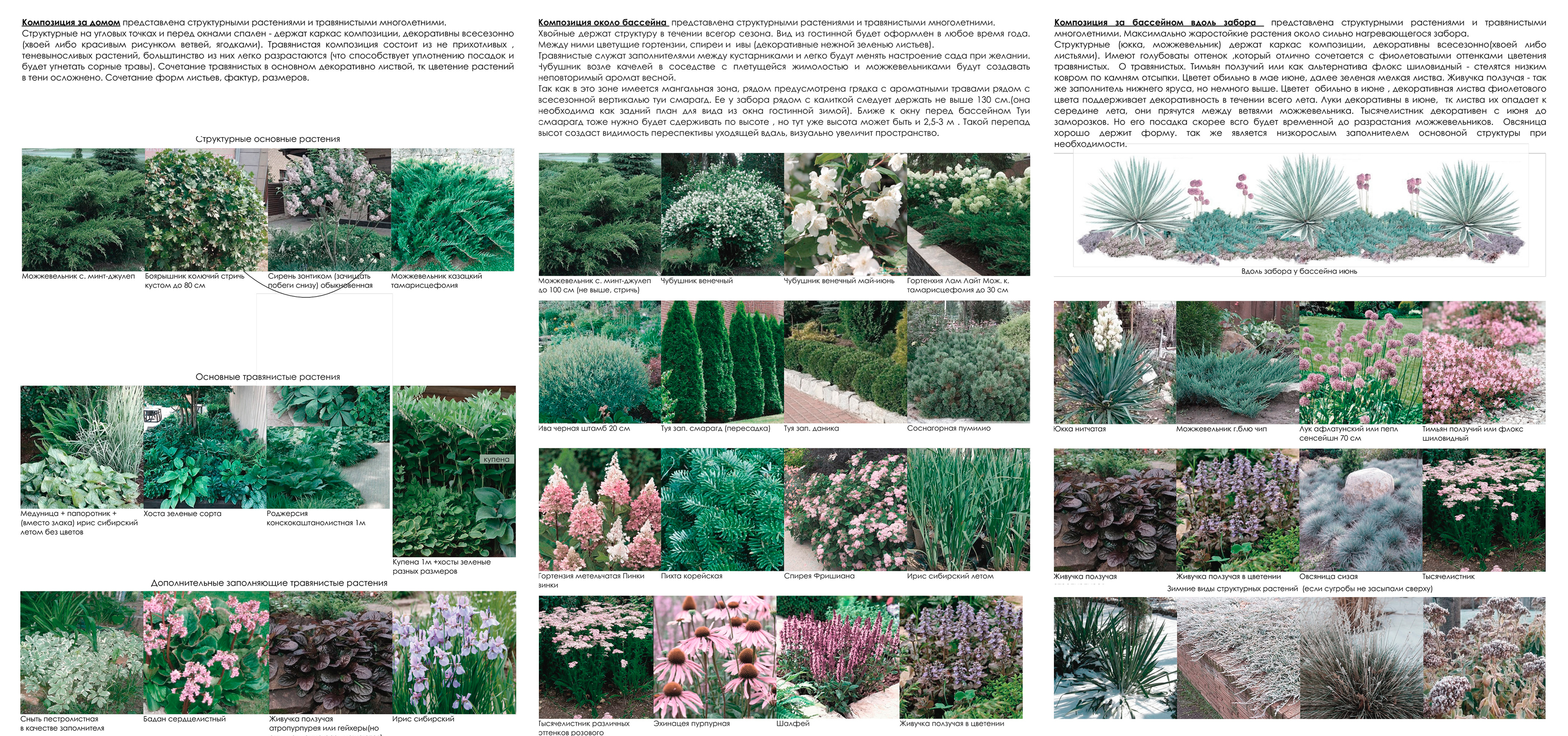 Сад гортензий(绣球花园)-11