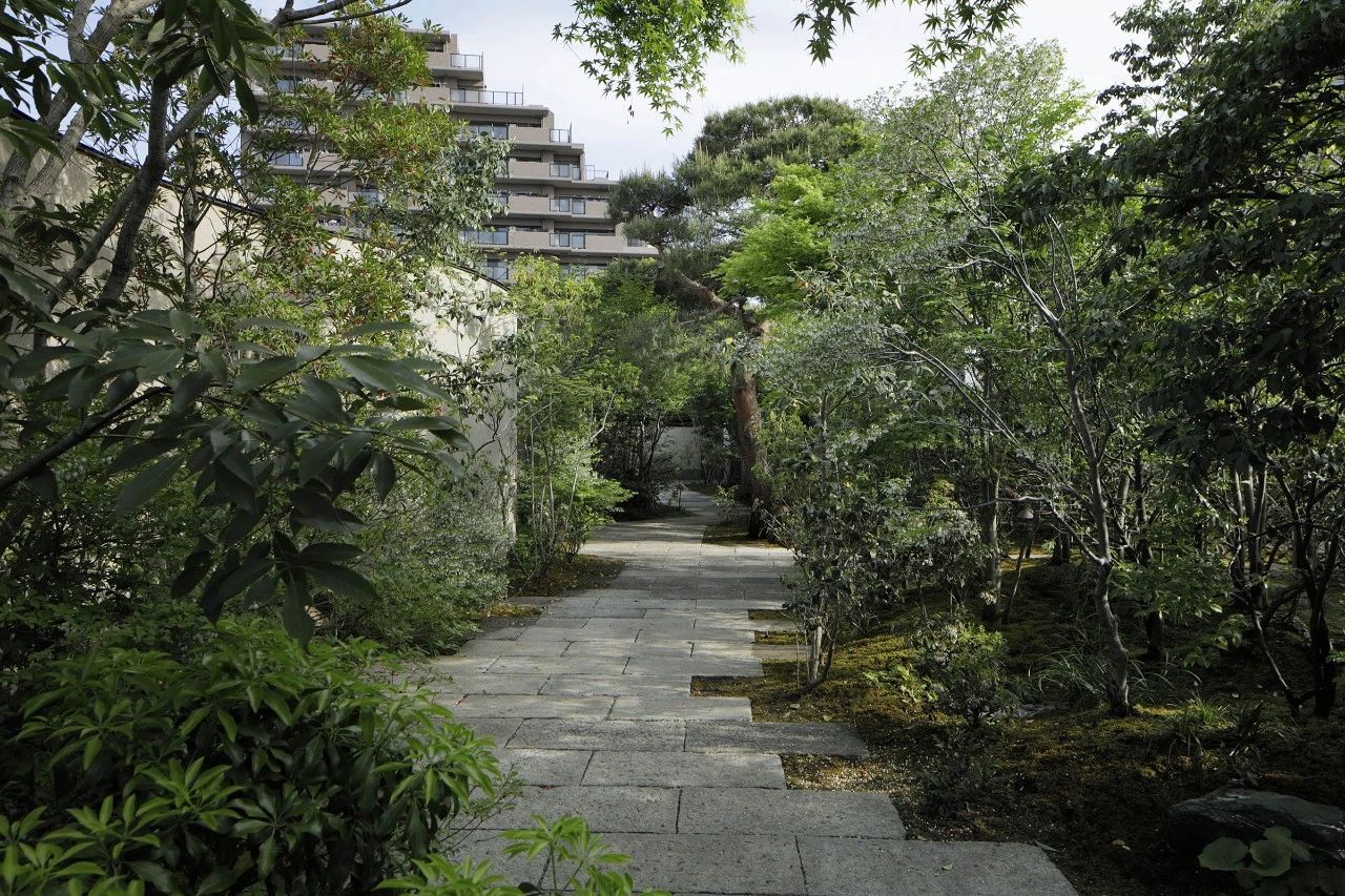 托基托旅馆丨日本丨绪方慎一郎-13