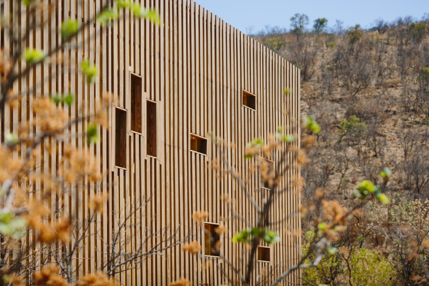 南非 Limpopo 青年旅舍-46