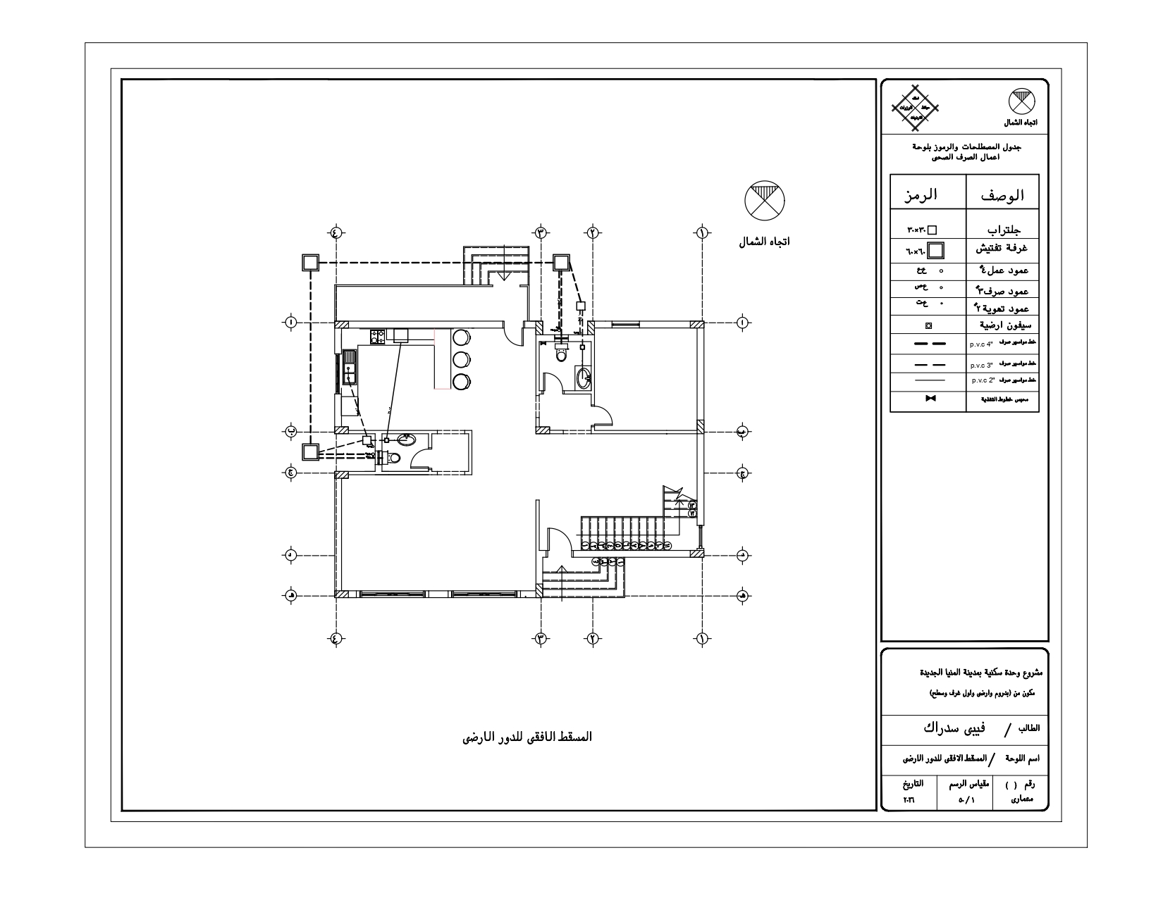 Executive project for a villa-9