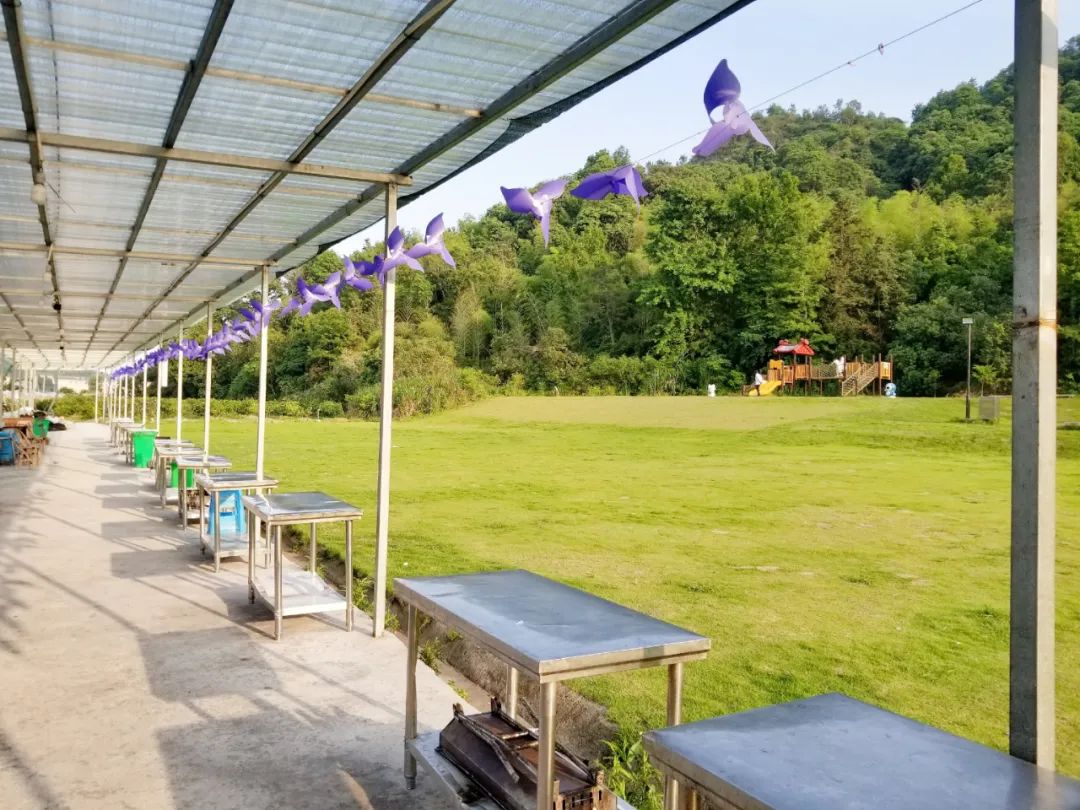 品东装饰户外团建活动 | 快乐工作，健康生活-3