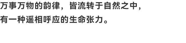 深圳招商雍云府售楼处丨中国深圳丨布鲁盟设计-1