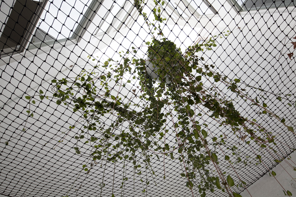 墨西哥城活力营销办公室设计-29