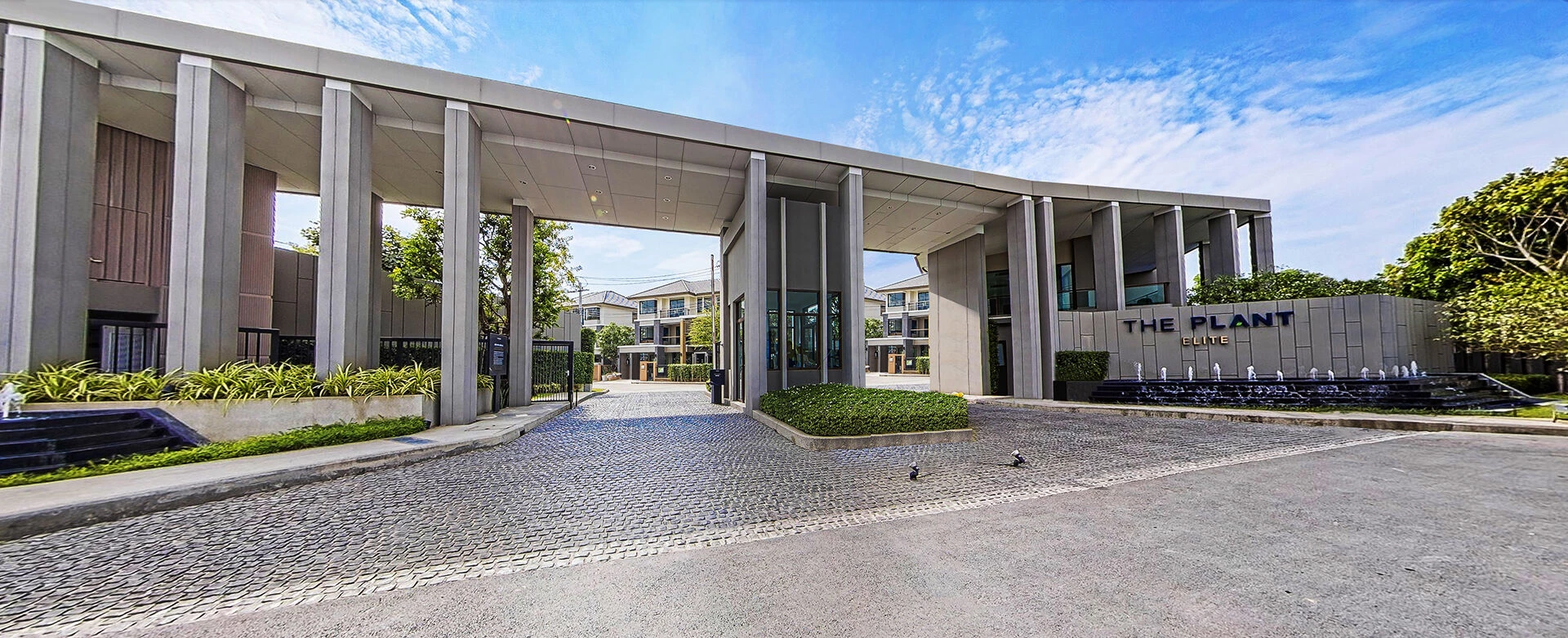 植物精英和帕森-33