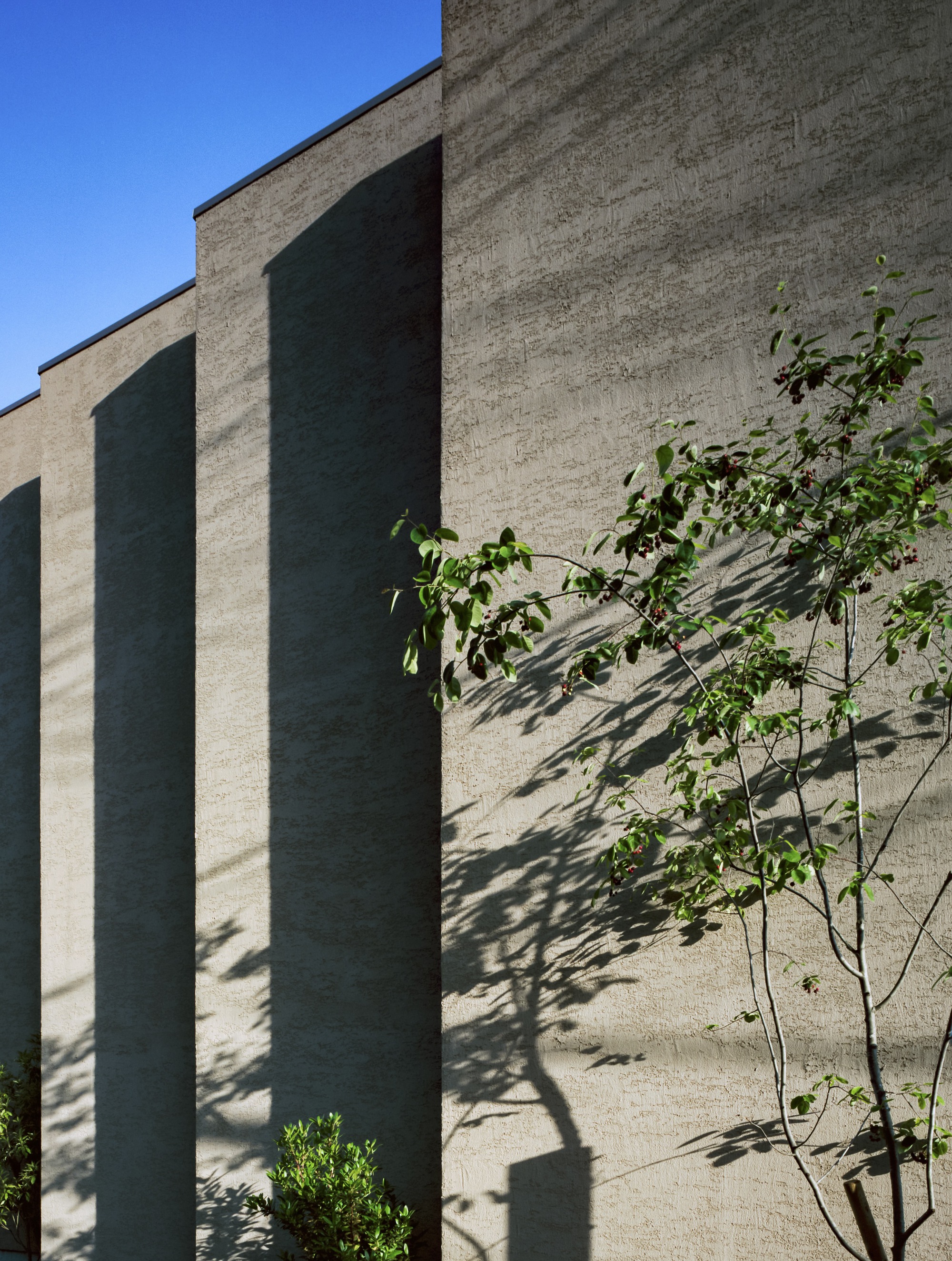 冈本的房子丨日本丨FujiwaraMuro Architects-23