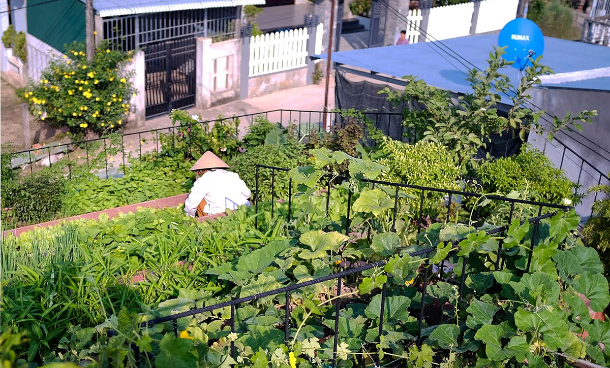 乡间别墅 | 越南 80 平米绿色家园-13