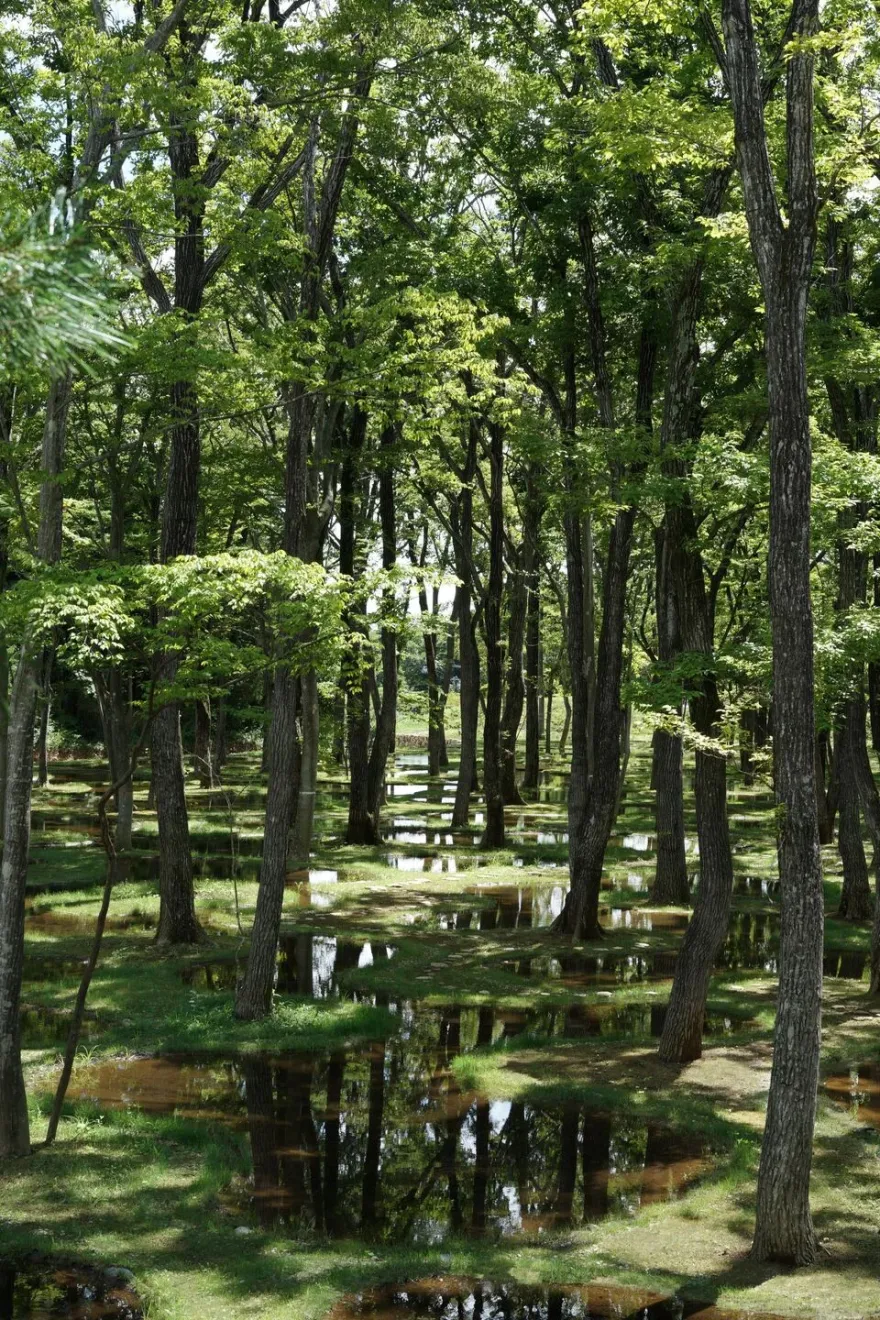 Botanical Garden Art Biotop / Water Garden-7