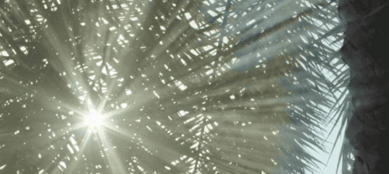 赛瑞迪普空间设计· 神 说 : 要 有 光 就 有 了 光-40