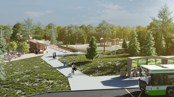 Сосновый Бор – 滨海公园南部及城市海滩入口区改善项目丨俄罗斯丨Проектное бюро М4-33