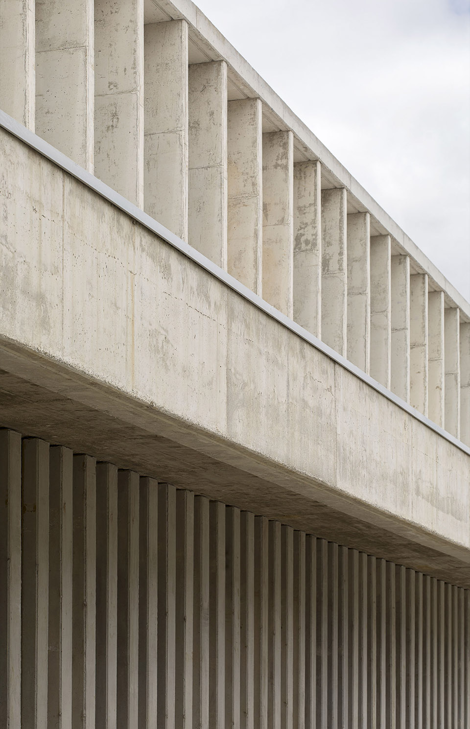 CEIP LOS ARCOS学校丨西班牙卡塞雷斯-37