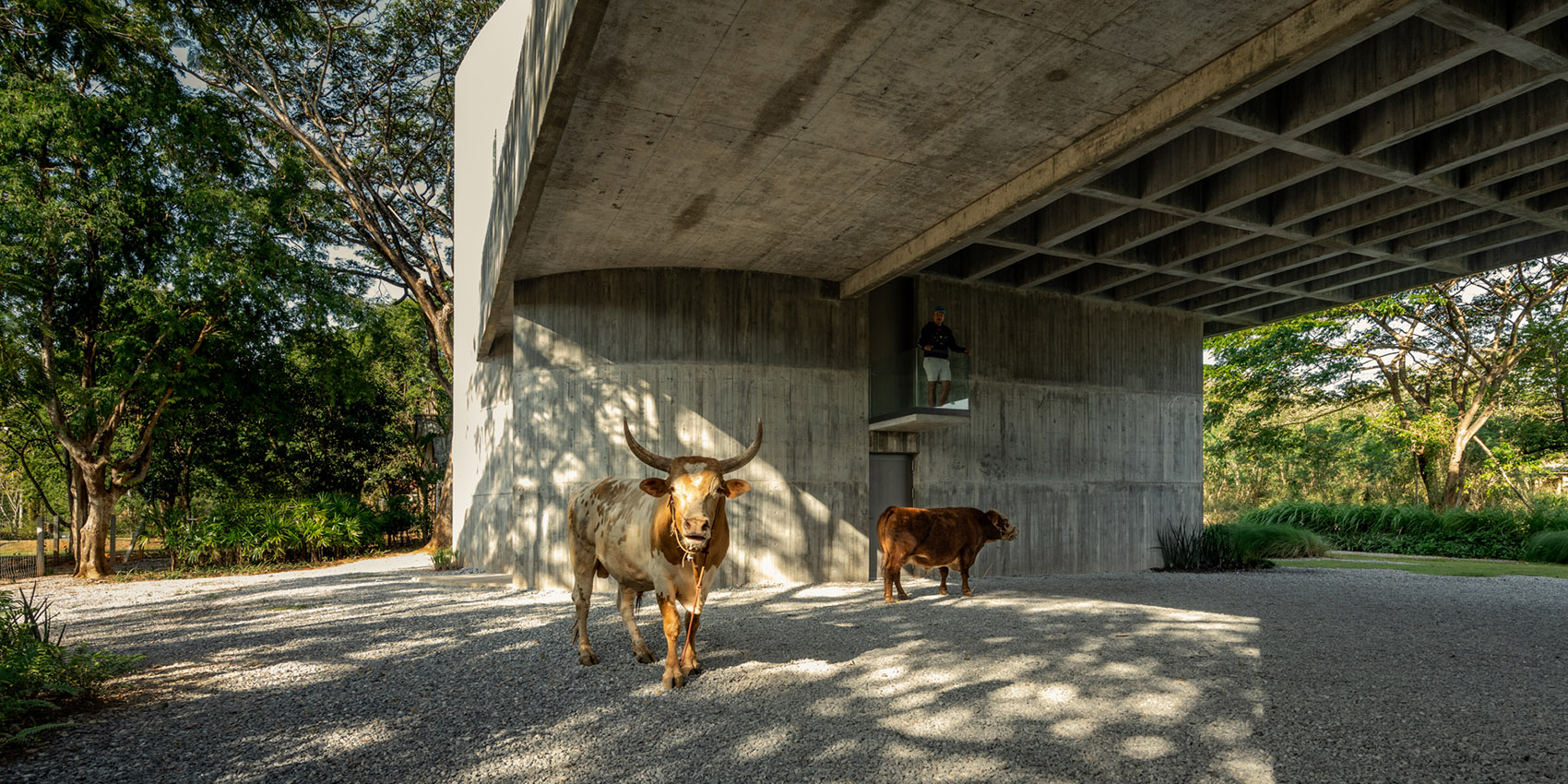 W住宅二期丨泰国丨IDIN Architects-15