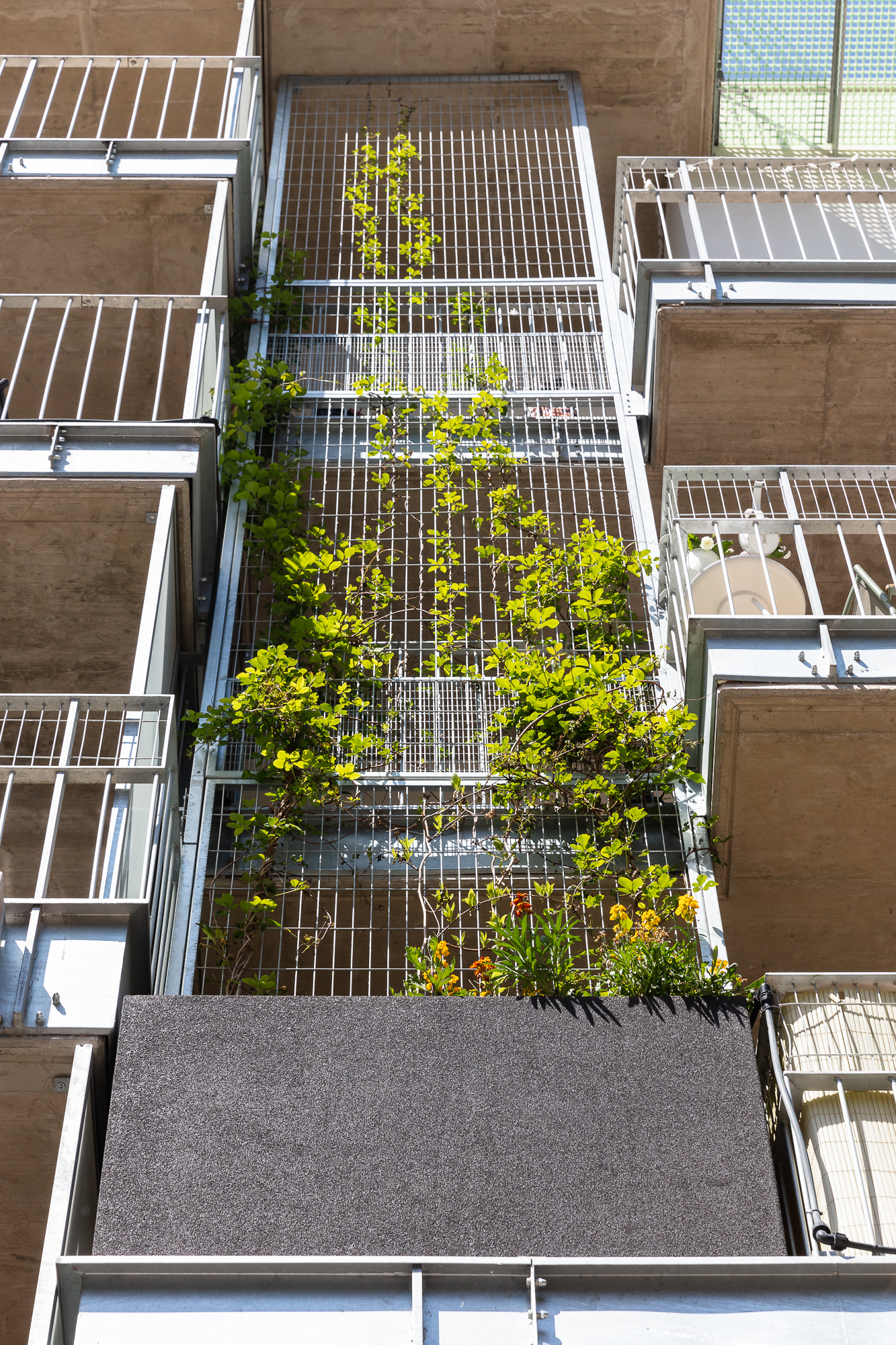 生活花园丨INNOBA-12