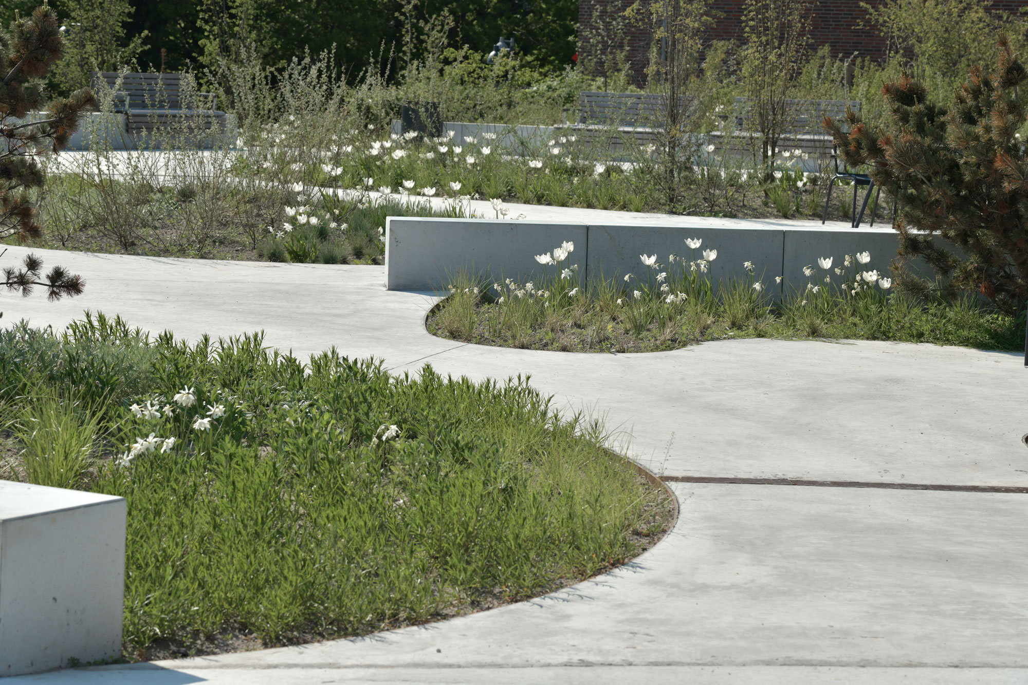 Stranden – Rumsans（Stranden海滩项目）丨丹麦丨Kragh & Berglund-63