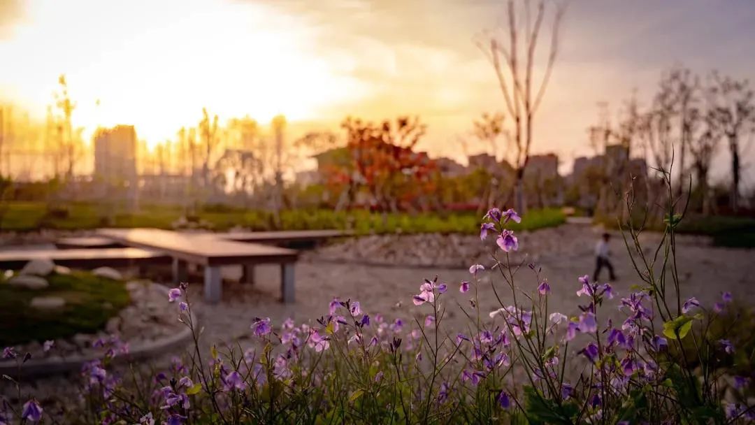 钱塘生态公园 | 海绵城市理念的绿色景观-33