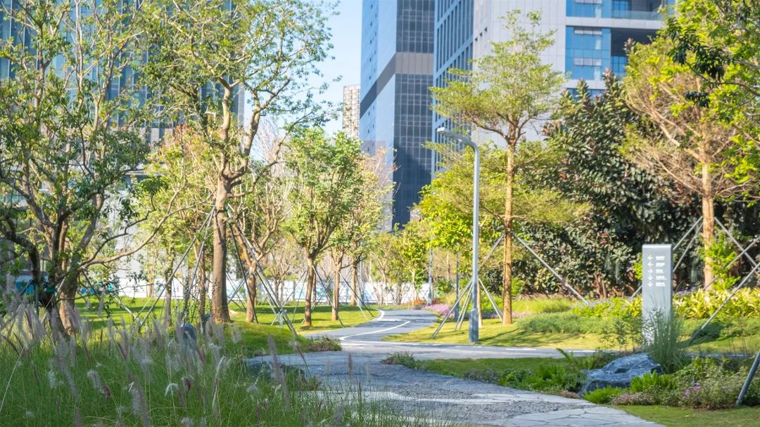 深圳智见·云上 · 科技与自然融合的社区公园丨中国深圳丨林俊英景观工作室,深圳市造源景观旅游规划设计有限公司-108