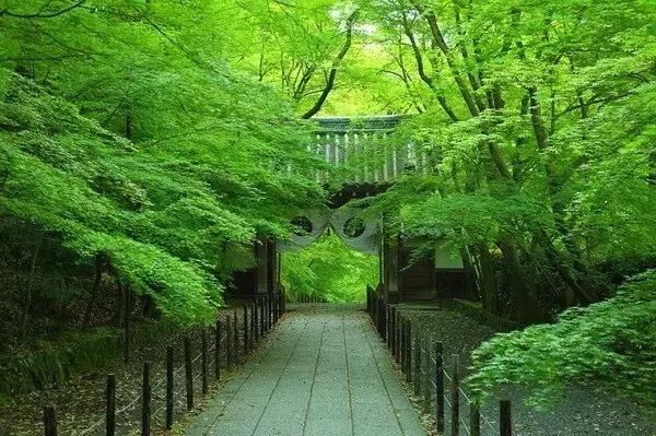 日式禅意庭院-19