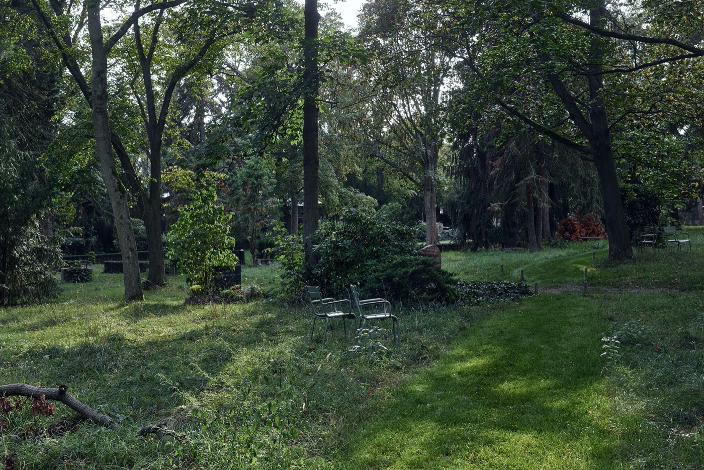 Luisenstädtischer 公墓变身文化生态社交空间-6