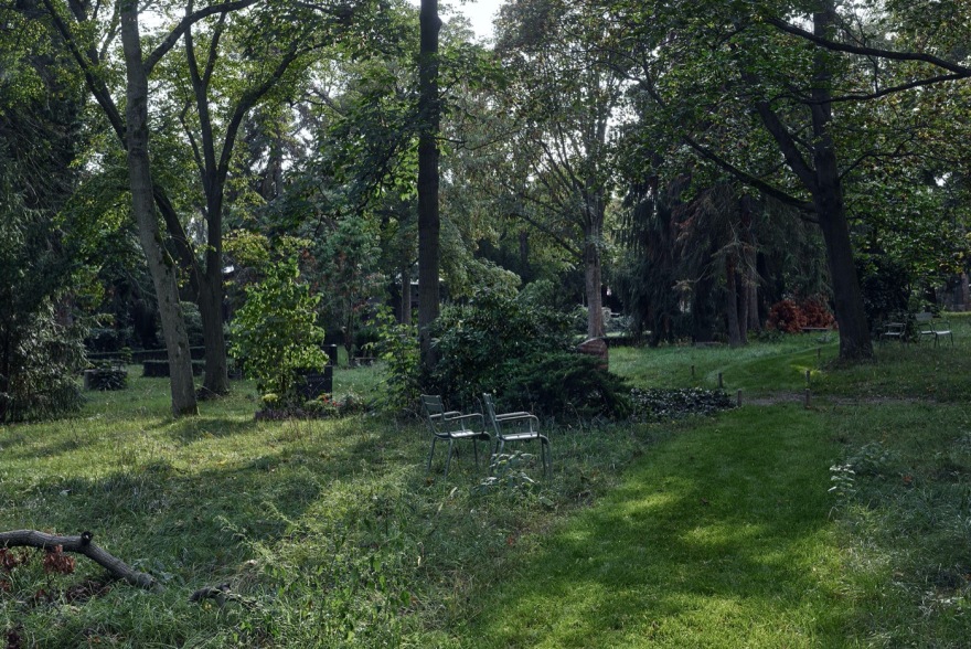 Luisenstädtischer 公墓变身文化生态社交空间-6