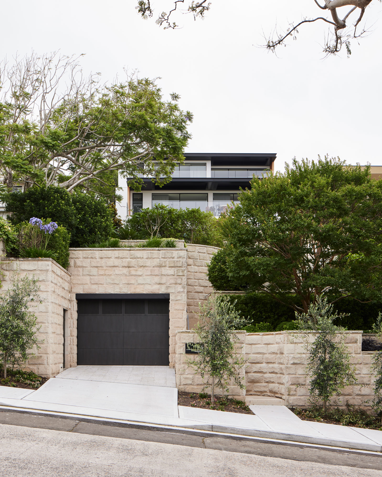 树林住宅丨澳大利亚-32