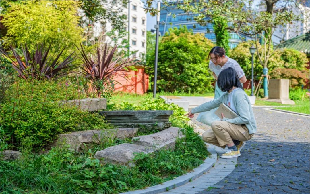 上海交通大学徐汇校区华山路入口景观提升设计丨中国上海丨上海亦境建筑景观有限公司,上海交通大学设计学院风景园林研究所-43