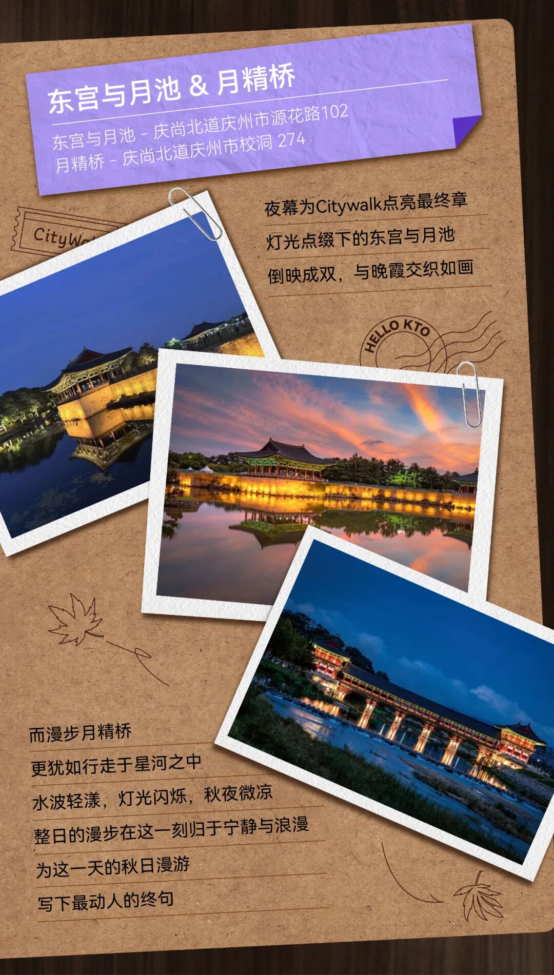 庆州秋日Citywalk地图~用一天时间，收集古都的浪漫碎片-5