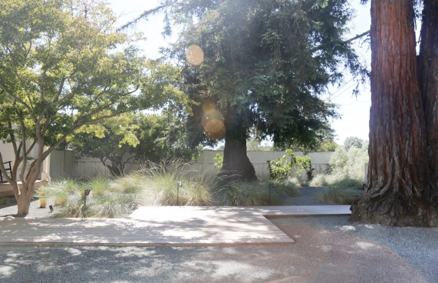 丹麦索诺马农舍的静谧改造丨TERREMOTO-7