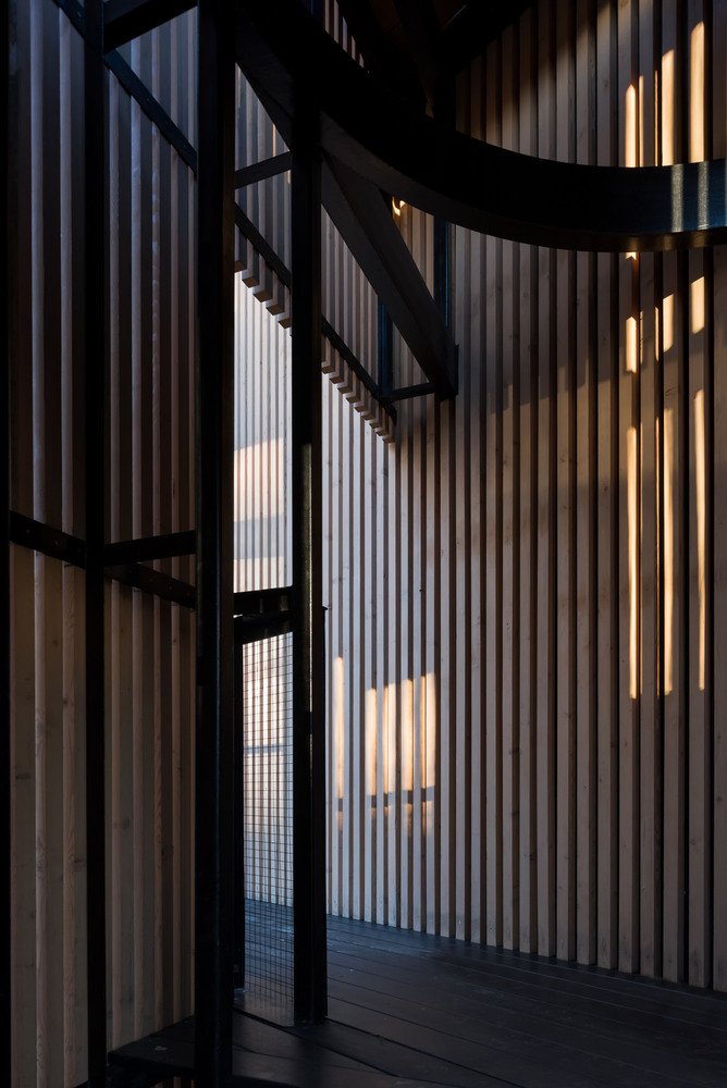 俄罗斯莫斯科 Oblast 老松树环绕的生态家园-46