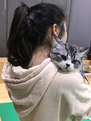 春日激战，九度小伙伴的体育馆风采-53