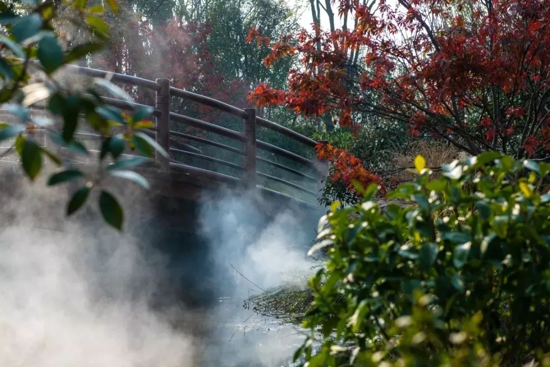 太白山·唐镇-54