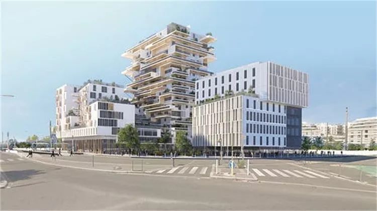 木质建筑春天来临,环保与美观的完美结合-4