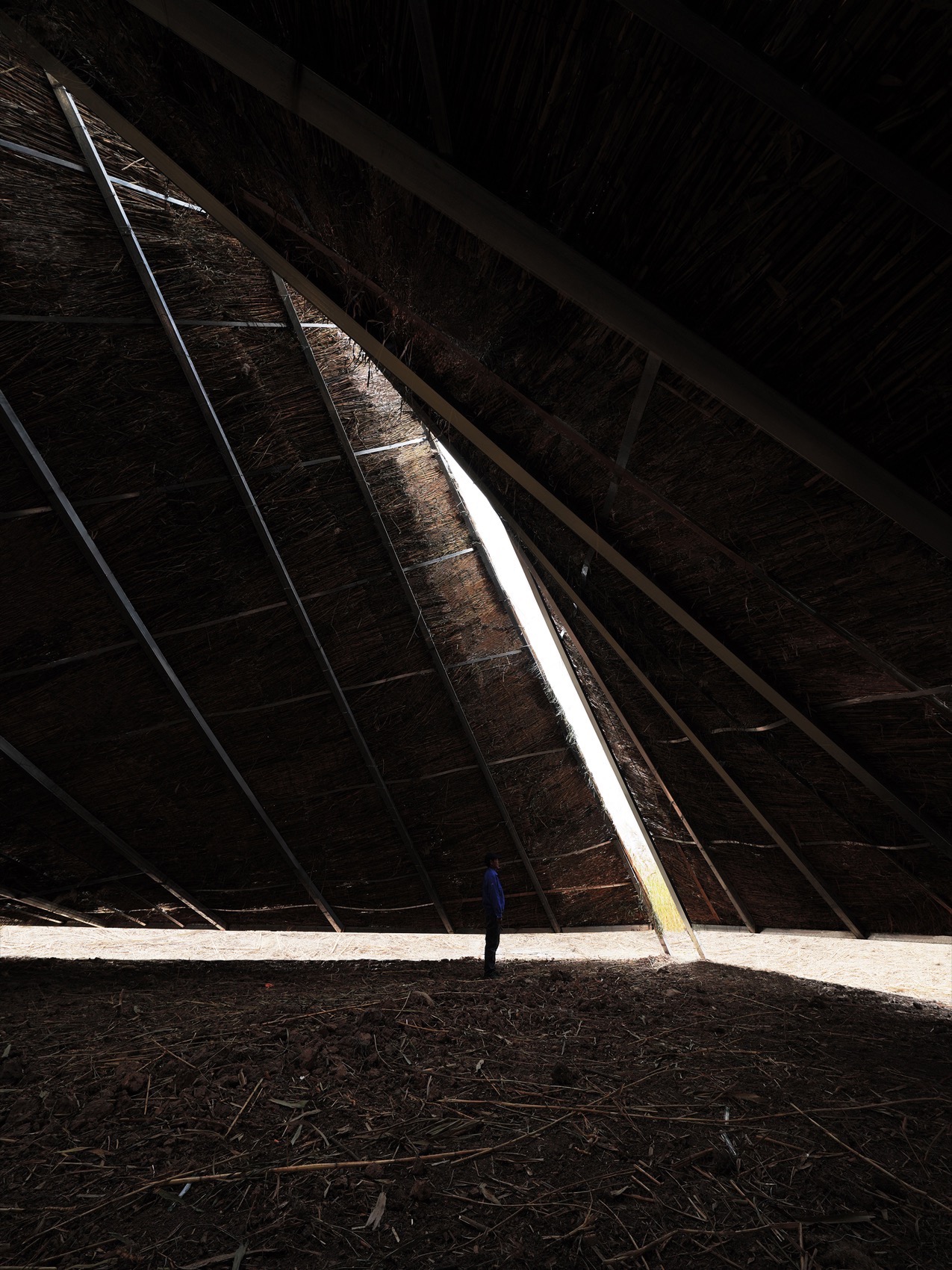 疗愈之“山”丨中国岳阳丨杜扬工作室-70