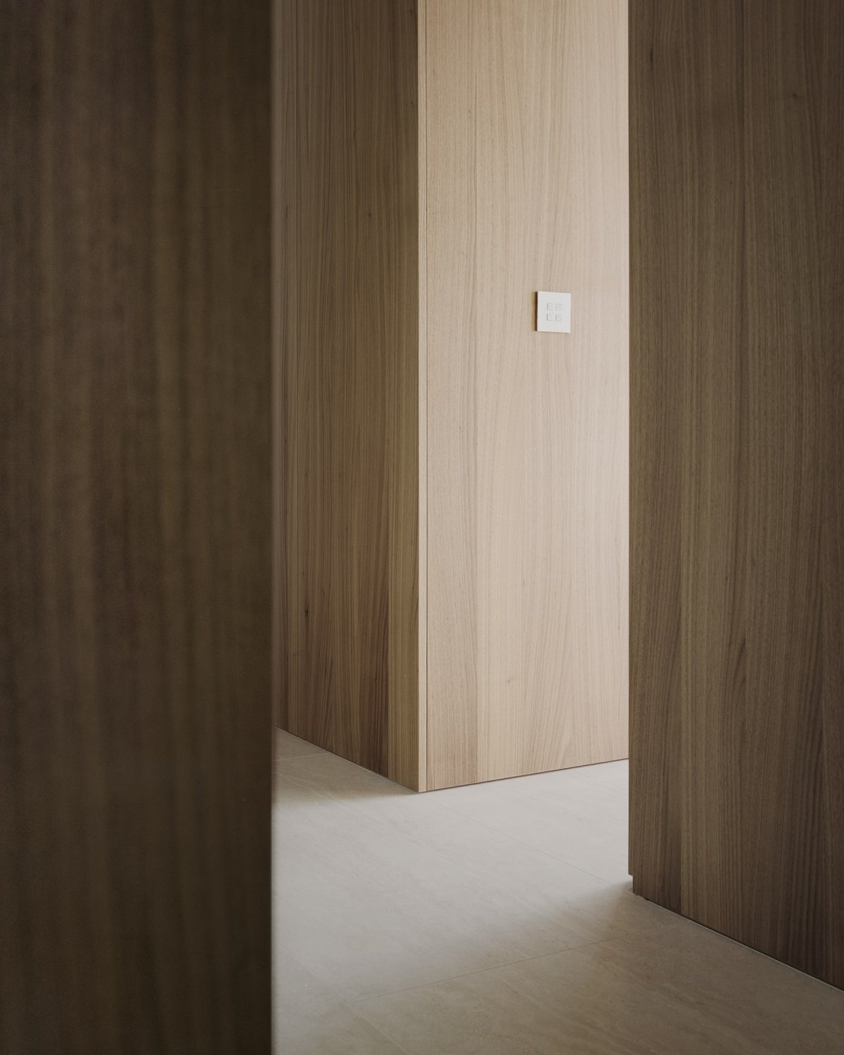 瑞士极简公寓，胡桃木与不锈钢的视觉盛宴-6