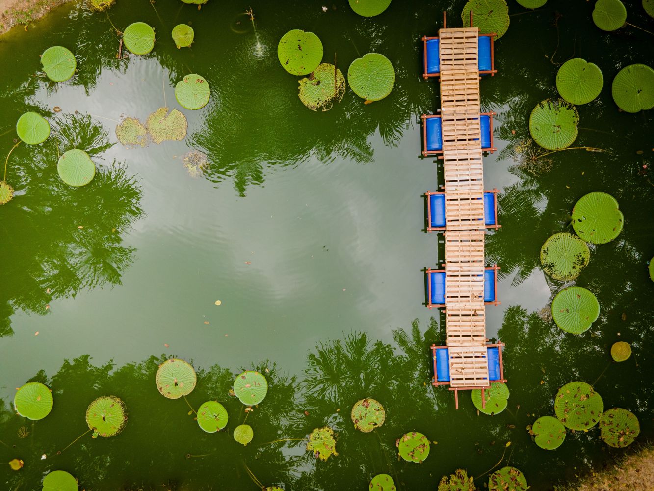 巴西玛瑙斯浮桥丨Colectivo Aqua Alta-24