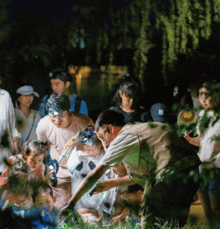 勝地|到公园去探探“动静”!-33