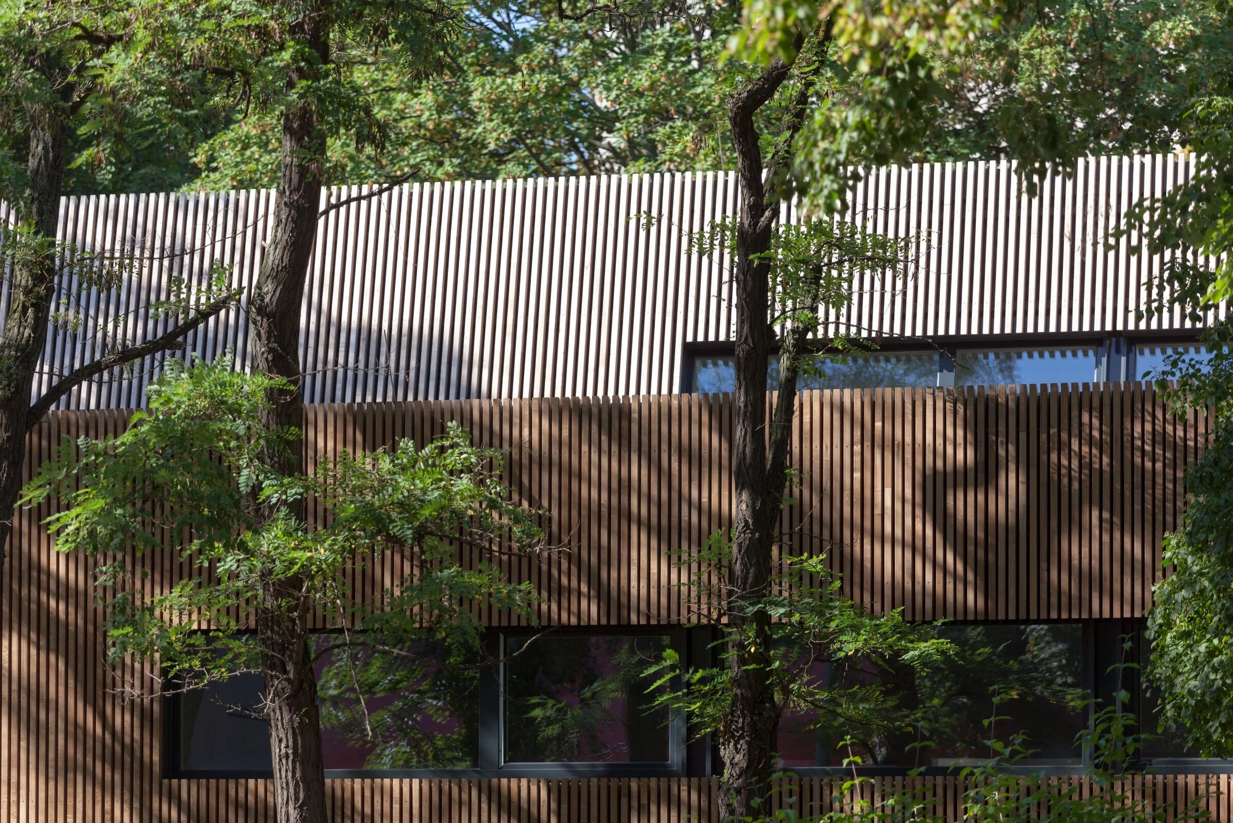 柏林École Voltaire 学校咖啡厅-12