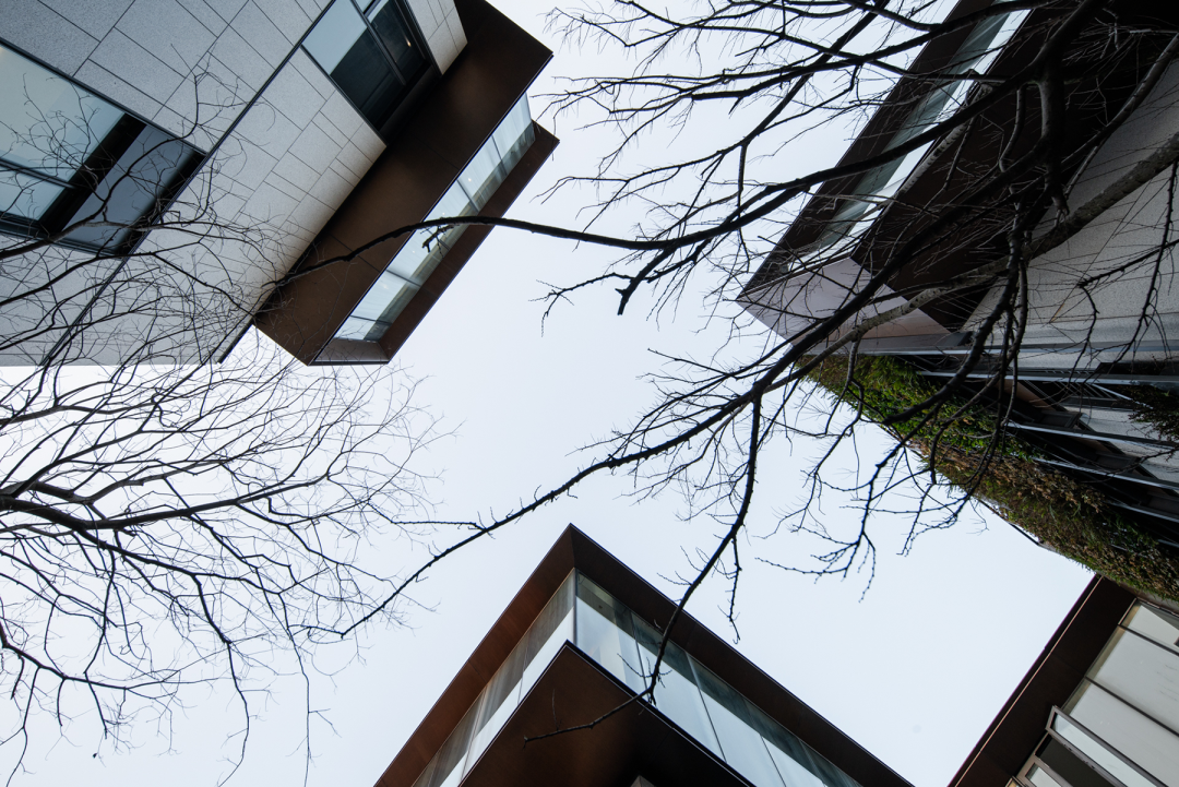 新作 极限容量下的院落空间实验 ：杭丨中国杭州丨孟凡浩-line+-35