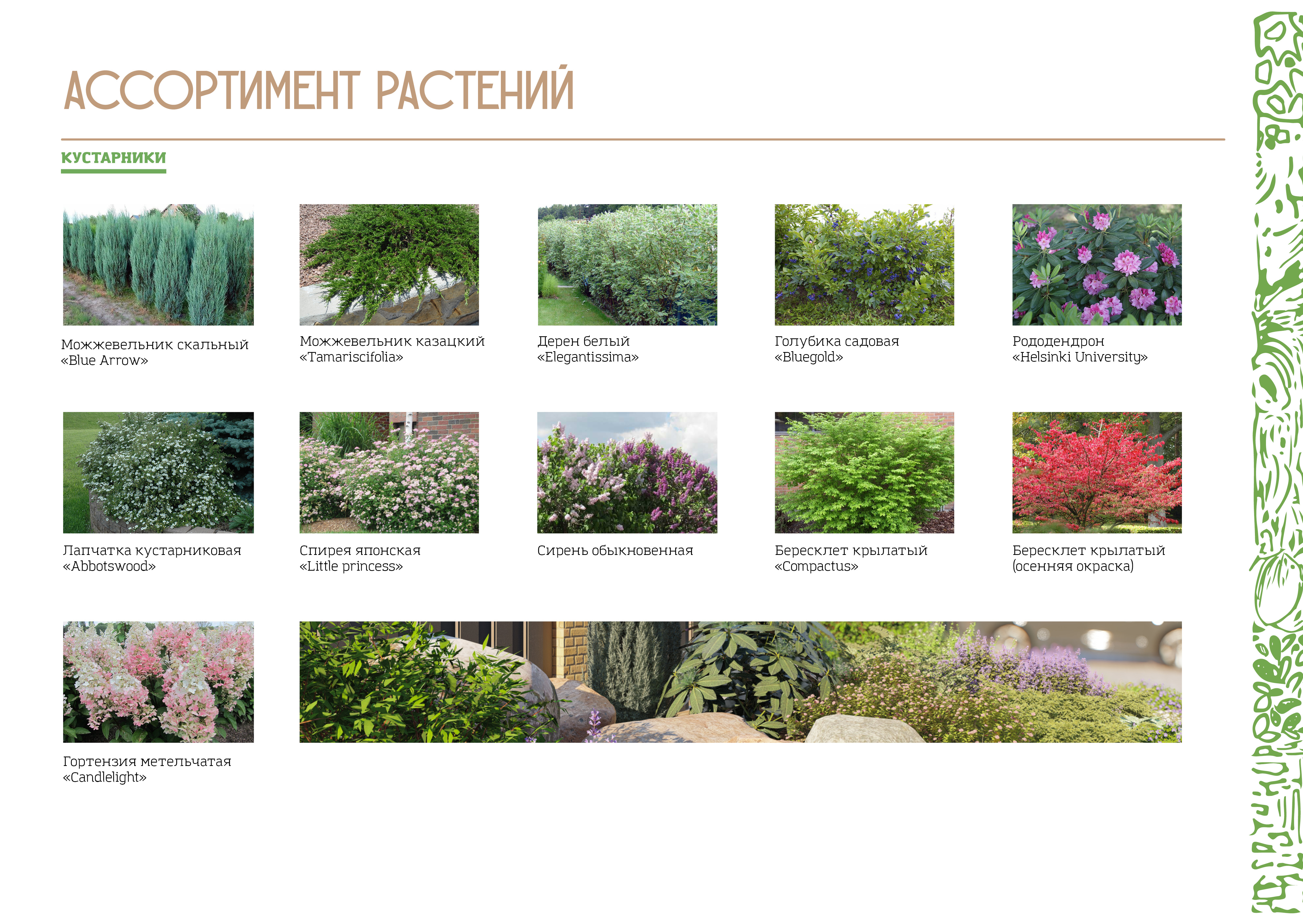 Проект озеленения частного участка-7