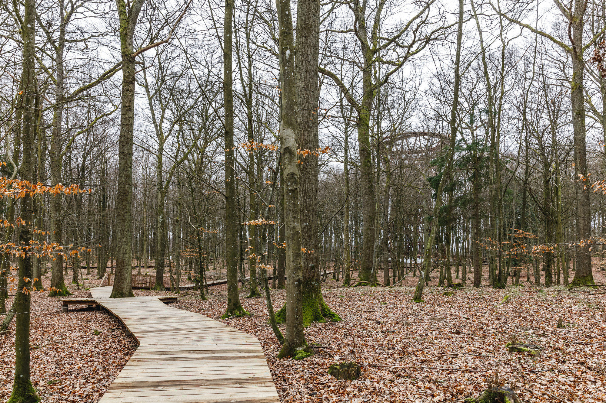 丹麦营冒险观察塔设计丨EFFEKT-22