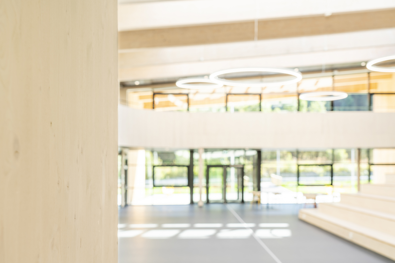 挪威 Borgafjellet 小学丨LINK arkitektur-36