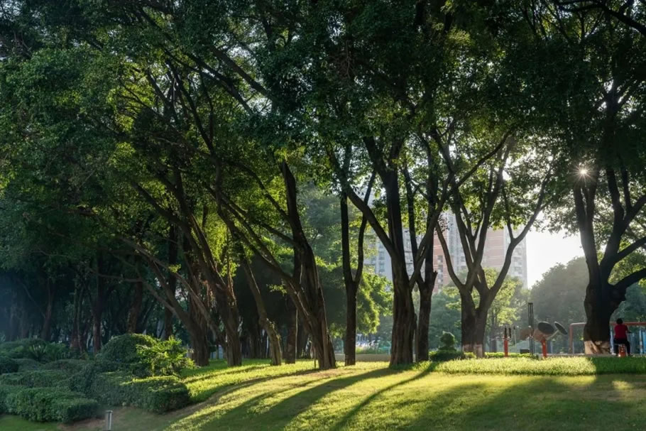 广州中海·荔府丨中国广州丨广亩景观-80