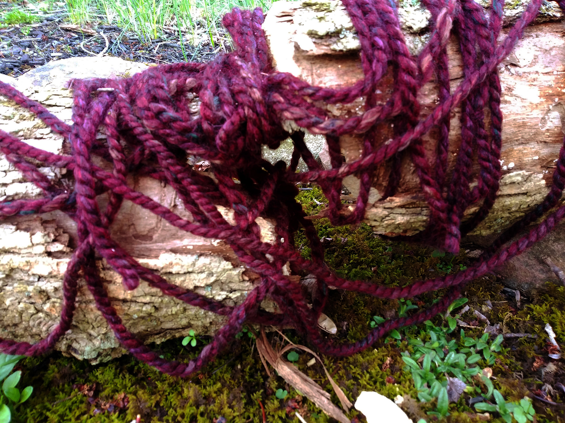 自然界中隐藏的线条-13