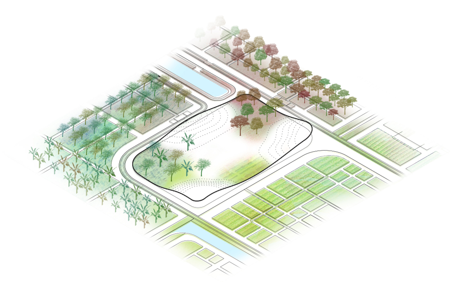 Organic Farm in Cuchi, Vietnam Will Promote Closed-17