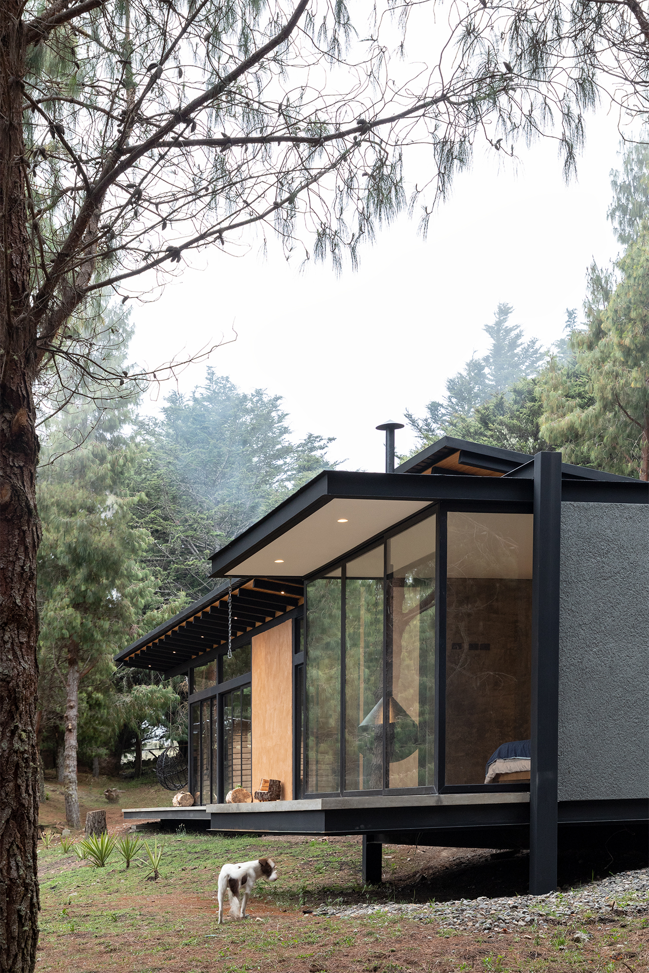 森林之家丨厄瓜多尔阿苏艾丨Abel Guzman Larriva,Juan Vintimilla-1