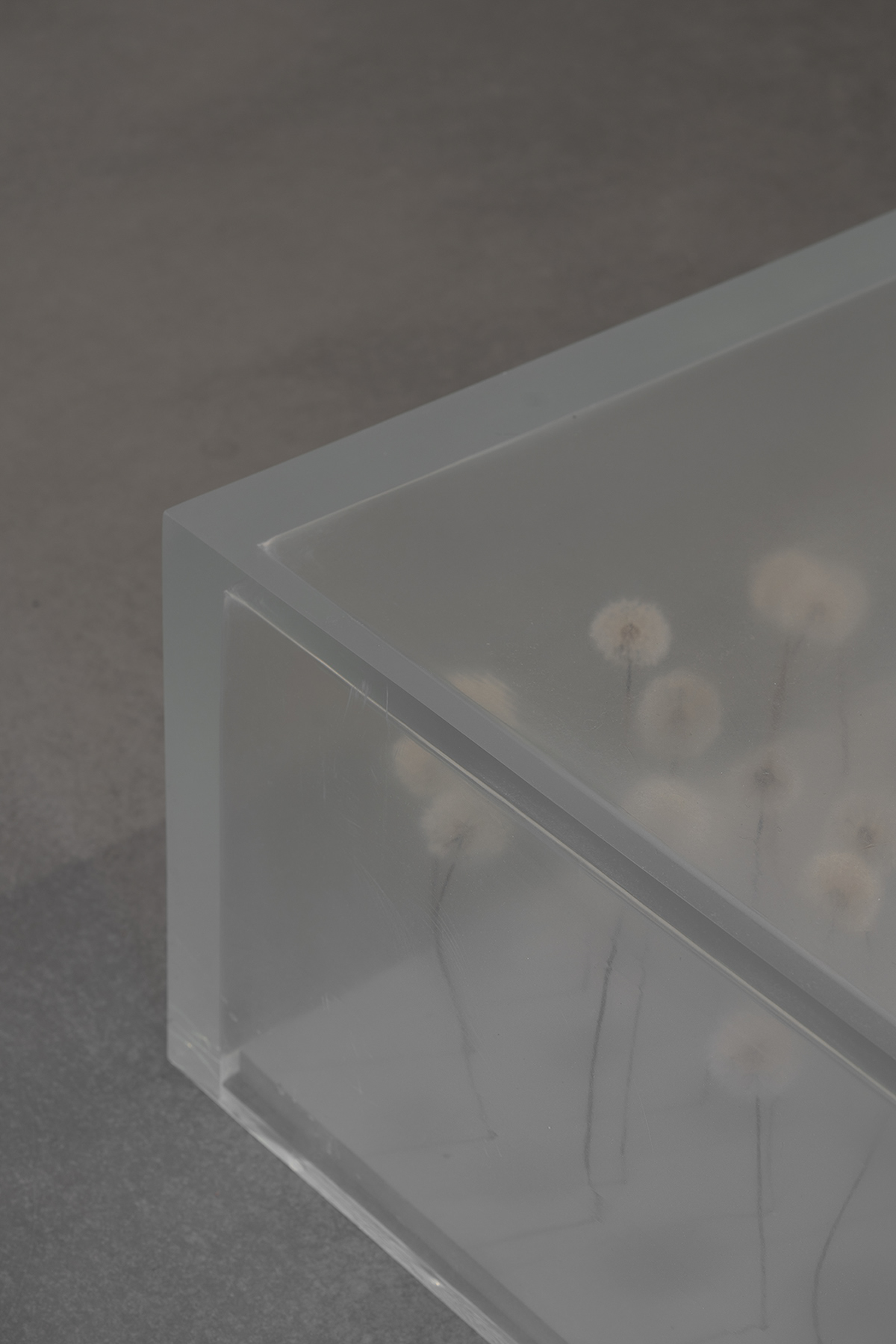 12STOREEZ 精品店丨德国丨NIDO-20