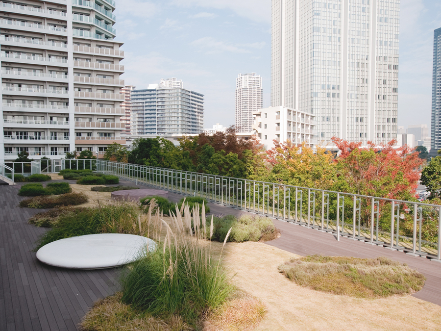 URBAN DOCK PARK CITY TOYOSU景观-7