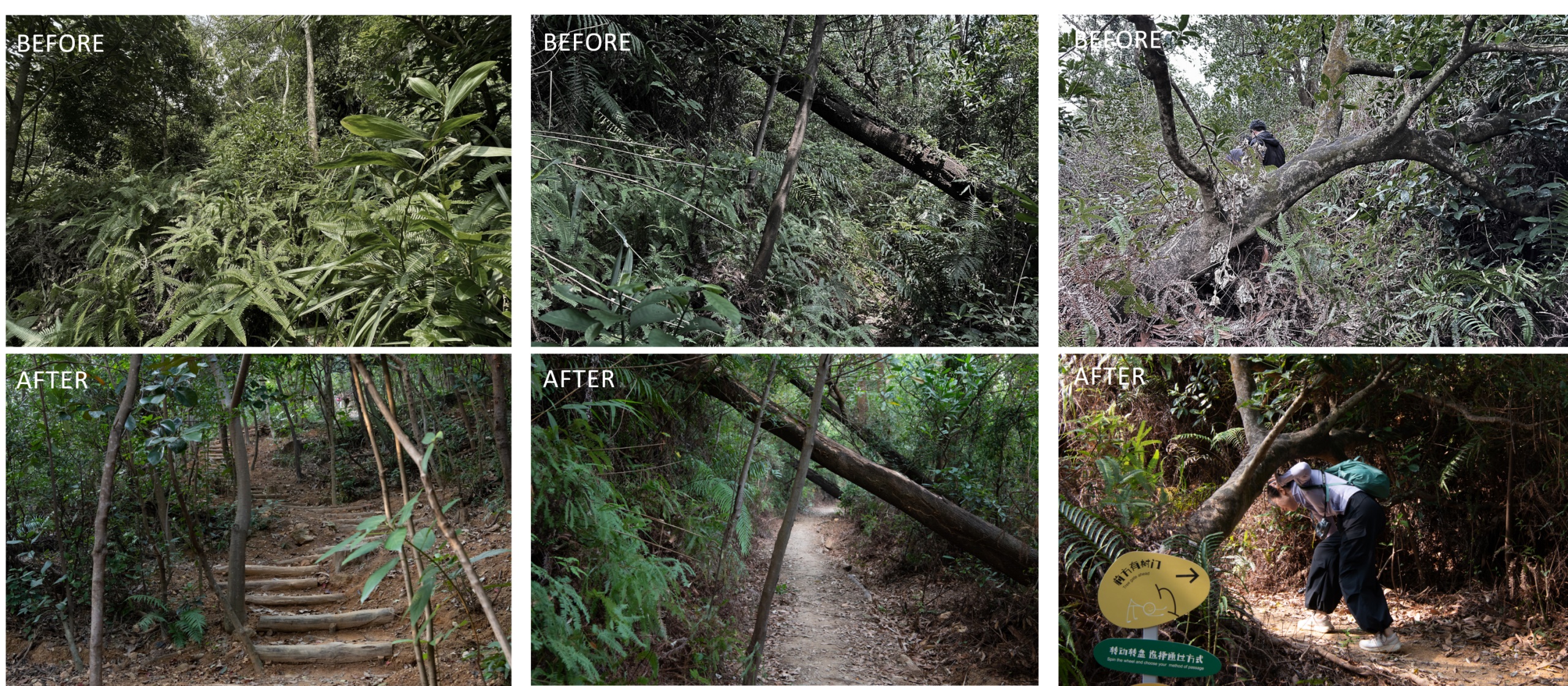 深圳市罗湖区东湖公园郊野径 – 莲塘口岸线丨中国深圳丨深圳市未名设计顾问有限公司 （WMLA）-152