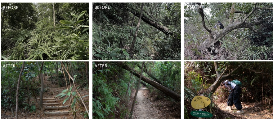 深圳市罗湖区东湖公园郊野径 – 莲塘口岸线丨中国深圳丨深圳市未名设计顾问有限公司 (WMLA)-152